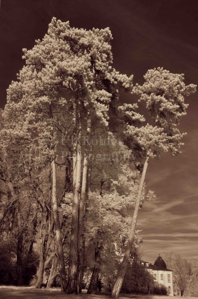 SCHLOSS-BELVEDERE-05