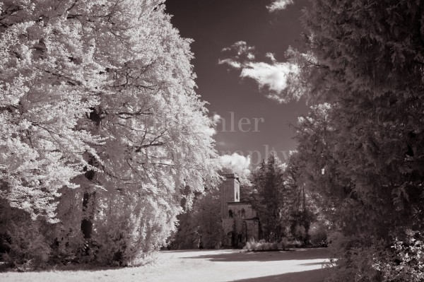 PARK-AN-DER-ILM-RUINE-01