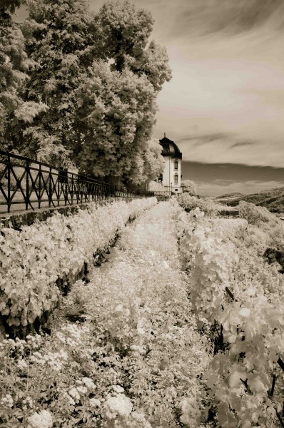 DORNBURGER SCHLÖSSER-03