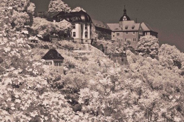 DORNBURGER SCHLÖSSER-08