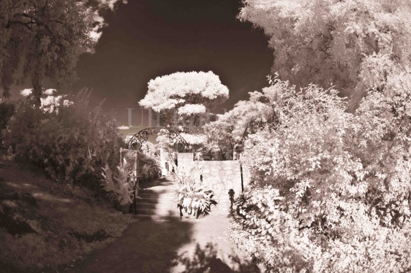 DORNBURGER SCHLÖSSER-07